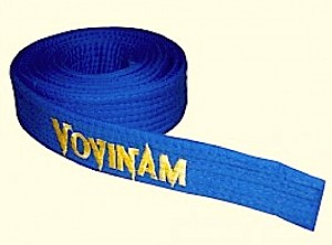 ceinture-vovinam-viet-vo-dao-bleue-qualite-sup